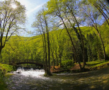 Vrelo Bosne, Bosna-Hersek 'in Ilca belediyesinde yer alan bir park. Park, Bosna Nehri 'nin sıcak kaynağı olan Igman Dağı' nın eteklerinde yer almaktadır ve ülkenin en popüler doğal alanlarından biridir..