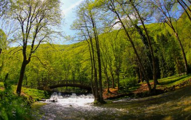 Vrelo Bosne, Bosna-Hersek 'in Ilca belediyesinde yer alan bir park. Park, Bosna Nehri 'nin sıcak kaynağı olan Igman Dağı' nın eteklerinde yer almaktadır ve ülkenin en popüler doğal alanlarından biridir..