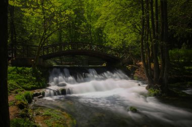 Vrelo Bosne, Bosna-Hersek 'in Ilca belediyesinde yer alan bir park. Park, Bosna Nehri 'nin sıcak kaynağı olan Igman Dağı' nın eteklerinde yer almaktadır ve ülkenin en popüler doğal alanlarından biridir..