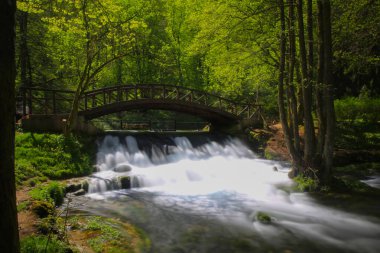 Vrelo Bosne, Bosna-Hersek 'in Ilca belediyesinde yer alan bir park. Park, Bosna Nehri 'nin sıcak kaynağı olan Igman Dağı' nın eteklerinde yer almaktadır ve ülkenin en popüler doğal alanlarından biridir..