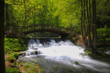 Vrelo Bosne, Bosna-Hersek 'in Ilca belediyesinde yer alan bir park. Park, Bosna Nehri 'nin sıcak kaynağı olan Igman Dağı' nın eteklerinde yer almaktadır ve ülkenin en popüler doğal alanlarından biridir..