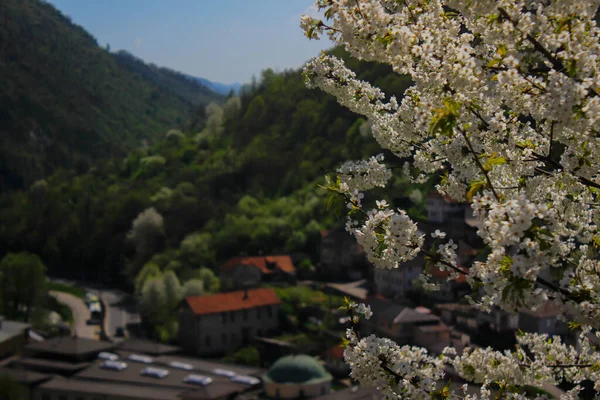 Vrelo Bosne, Bosna-Hersek 'in Ilca belediyesinde yer alan bir park. Park, Bosna Nehri 'nin sıcak kaynağı olan Igman Dağı' nın eteklerinde yer almaktadır ve ülkenin en popüler doğal alanlarından biridir..