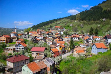 Konie (Boşnakça: Konjiç), Bosna-Hersek Federasyonu altında, Hersek-Neretva Kantonu 'nda yer alan bir şehir ve belediyedir..