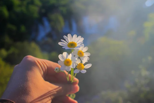 Kravické Vodopády Často Nazývané Kravice Jsou Velkou Tuffovou Kaskádou Krasovém — Stock fotografie