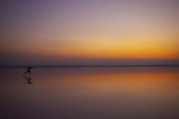 Lac Salt Est Deuxième Grand Lac Turquie — Photo