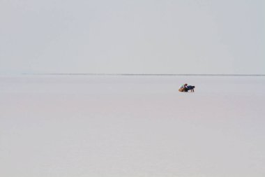 Tuz Gölü Türkiye 'nin en büyük ikinci gölüdür.