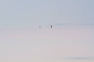 Tuz Gölü Türkiye 'nin en büyük ikinci gölüdür.