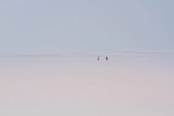 Lake Salt Second Largest Lake Turkey — Stock Photo, Image