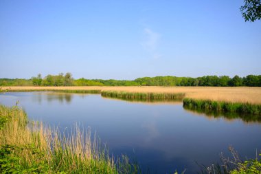 Igneada Ormanı ve Nehir. Türkiye 'nin Kirklareli ilinin Karadeniz kıyısındaki küçük bir kasaba. Manzaralı doğal güzellik.