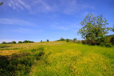 Igneada Ormanı ve Nehir. Türkiye 'nin Kirklareli ilinin Karadeniz kıyısındaki küçük bir kasaba. Manzaralı doğal güzellik.