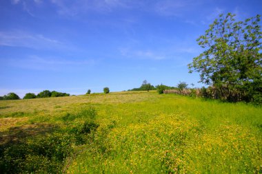 Igneada Ormanı ve Nehir. Türkiye 'nin Kirklareli ilinin Karadeniz kıyısındaki küçük bir kasaba. Manzaralı doğal güzellik.