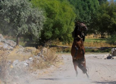 Avdalaz Kalesi Phrygia, Frig Vadisi, Ayazini, Afyon / TURKEY.