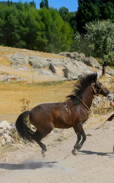 Avdalaz Kasteel Phrygia Frig Valley Ayazini Afyon Turkey — Stockfoto