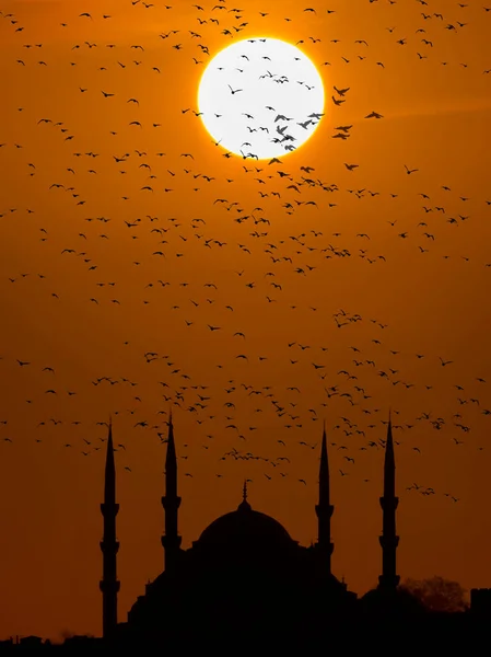 새로운 모스크 Yeni Cami 터키의 이스탄불 — 스톡 사진