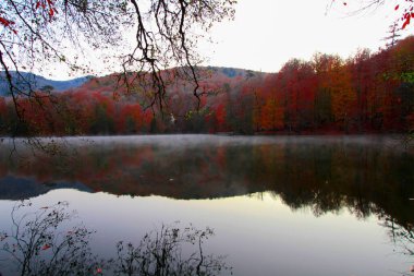 Yedigoller Park Bolu, Türkiye 'de sonbahar manzarası (yedi göl)
