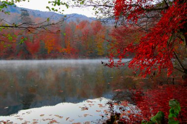 Yedigoller Park Bolu, Türkiye 'de sonbahar manzarası (yedi göl)