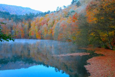 Yedigoller Park Bolu, Türkiye 'de sonbahar manzarası (yedi göl)