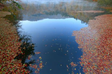 Yedigoller Park Bolu, Türkiye 'de sonbahar manzarası (yedi göl)