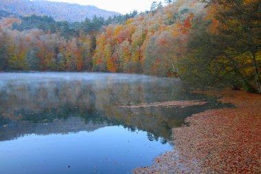 Yedigoller Park Bolu, Türkiye 'de sonbahar manzarası (yedi göl)