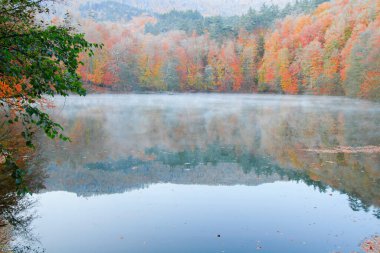 Yedigoller Park Bolu, Türkiye 'de sonbahar manzarası (yedi göl)