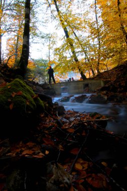 Yedigoller Park Bolu, Türkiye 'de sonbahar manzarası (yedi göl)