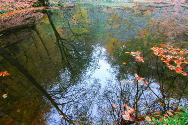 Yedigoller Park Bolu, Türkiye 'de sonbahar manzarası (yedi göl)