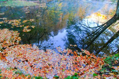Yedigoller Park Bolu, Türkiye 'de sonbahar manzarası (yedi göl)