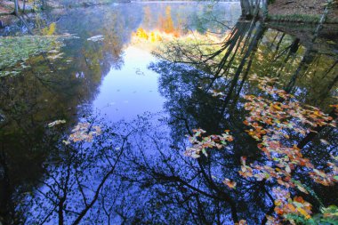 Yedigoller Park Bolu, Türkiye 'de sonbahar manzarası (yedi göl)