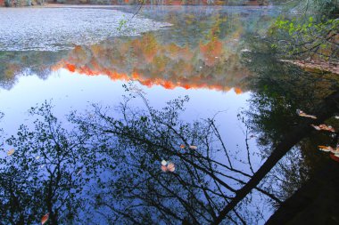 Yedigoller Park Bolu, Türkiye 'de sonbahar manzarası (yedi göl)