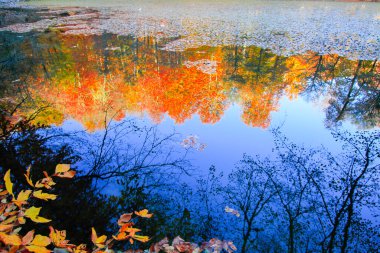 Yedigoller Park Bolu, Türkiye 'de sonbahar manzarası (yedi göl)