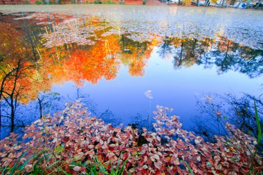 Yedigoller Park Bolu, Türkiye 'de sonbahar manzarası (yedi göl)