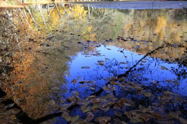 Yedigoller Park Bolu, Türkiye 'de sonbahar manzarası (yedi göl)
