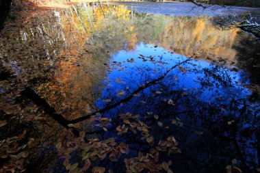 Yedigoller Park Bolu, Türkiye 'de sonbahar manzarası (yedi göl)