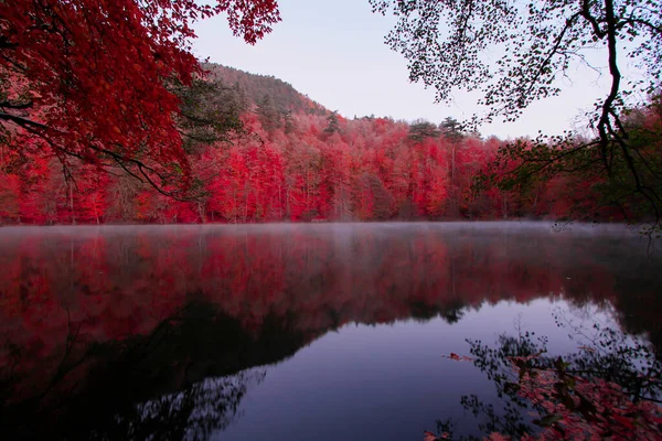 Paisagem Outono Sete Lagos Yedigoller Park Bolu Turquia — Fotografia de Stock