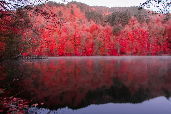 Paisagem Outono Sete Lagos Yedigoller Park Bolu Turquia — Fotografia de Stock