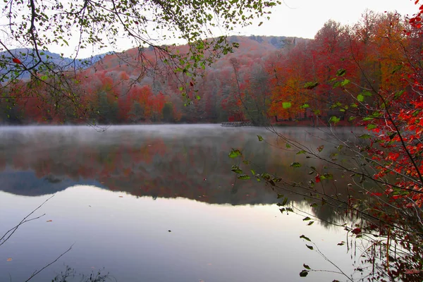 Höstlandskap Sju Sjöar Yedigoller Park Bolu Turkiet — Stockfoto