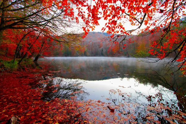 Paisagem Outono Sete Lagos Yedigoller Park Bolu Turquia — Fotografia de Stock