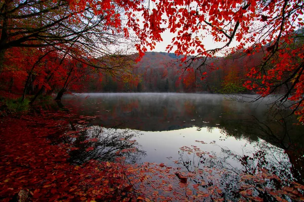 Podzimní Krajina Sedm Jezer Yedigoller Park Bolu Turecko — Stock fotografie