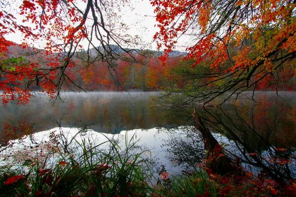 Осінній Пейзаж Сім Озер Yedigoller Park Bolu Turkey — стокове фото