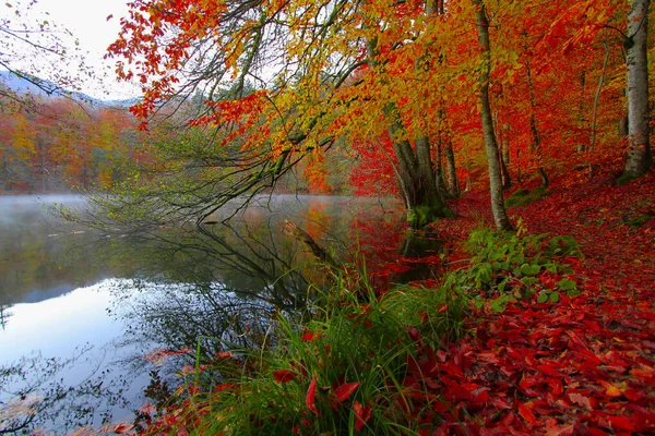 Paisagem Outono Sete Lagos Yedigoller Park Bolu Turquia — Fotografia de Stock