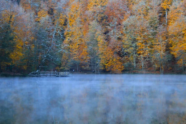 Paisagem Outono Sete Lagos Yedigoller Park Bolu Turquia — Fotografia de Stock