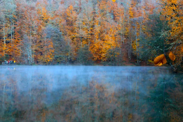 Autumn Landscape Seven Lakes Yedigoller Park Bolu Turkey — Stock Photo, Image