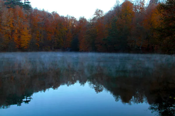Осенний Пейзаж Семи Озерах Едигольском Парке Болу Турция — стоковое фото