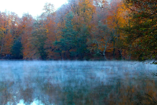 Herbstlandschaft Sieben Seen Yedigoller Park Bolu Türkei — Stockfoto