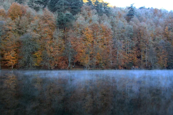 Autumn Landscape Seven Lakes Yedigoller Park Bolu Turkey — Stock Photo, Image