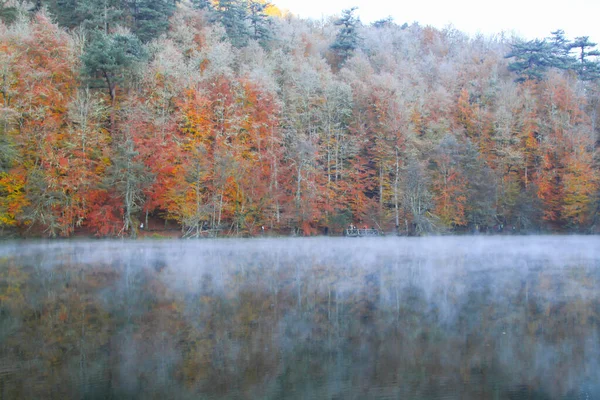 Autumn Landscape Seven Lakes Yedigoller Park Bolu Turkey — Stock Photo, Image