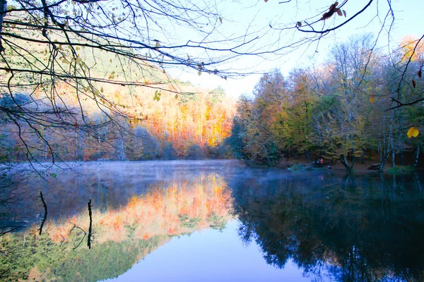 Herbstlandschaft Sieben Seen Yedigoller Park Bolu Türkei — Stockfoto