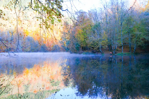 Herbstlandschaft Sieben Seen Yedigoller Park Bolu Türkei — Stockfoto