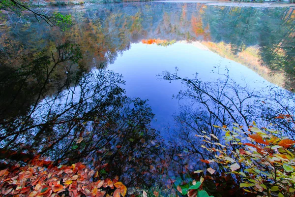 Herbstlandschaft Sieben Seen Yedigoller Park Bolu Türkei — Stockfoto