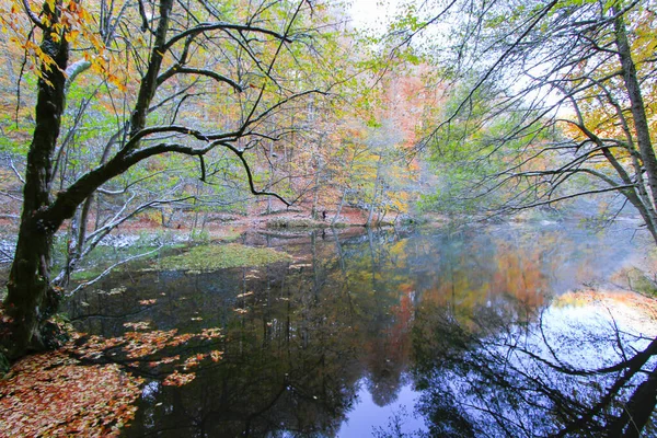 Höstlandskap Sju Sjöar Yedigoller Park Bolu Turkiet — Stockfoto